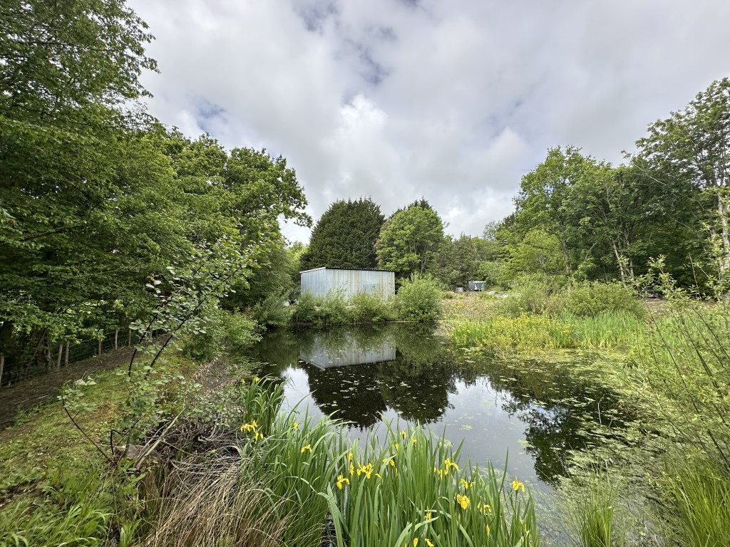 Lot: 60 - TIN BARN WITH POND SET IN APPROXIMATELY ONE ACRE - Tin Barn with Pond